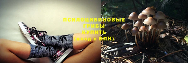 СК Киренск